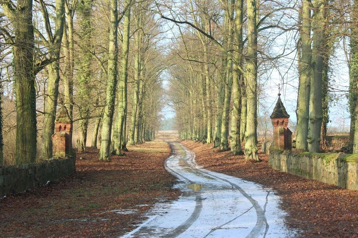 Zrewitalizują 