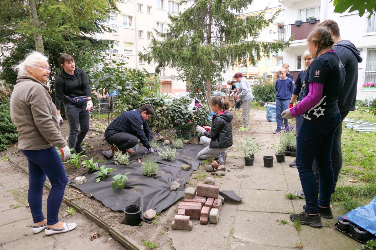 Zaczęli odnawiać podwórka w centrum miasta [GALERIA]
