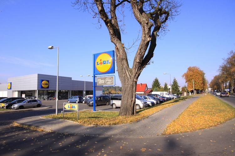 Był trzeźwy, ale stracił prawo jazdy