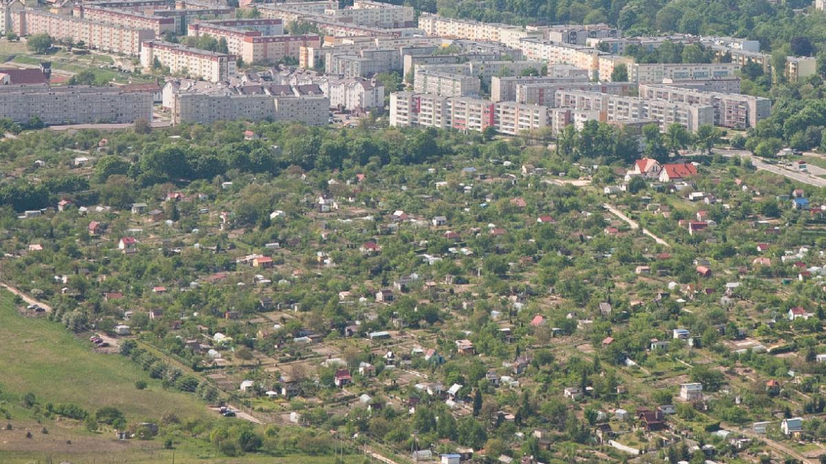 Po ile chodzą ogrody działkowe w Gryfinie?