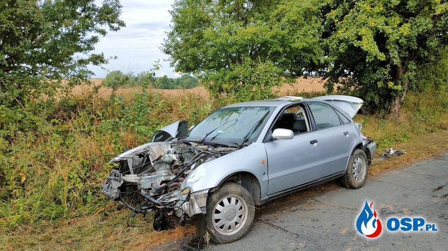 Uderzył w drzewo tak mocno, że wyrwało silnik