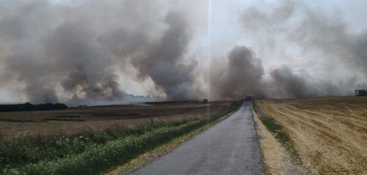 Spłonęło 16 hektarów zboża