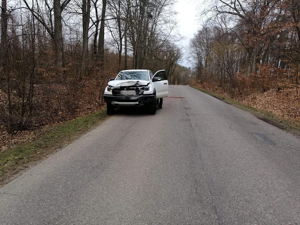 Ford Ranger zderzył się z jeleniem