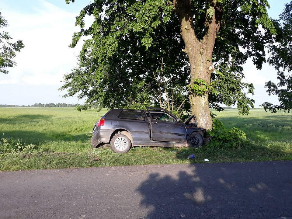 Samochód uderzył w drzewo niedaleko Steklna