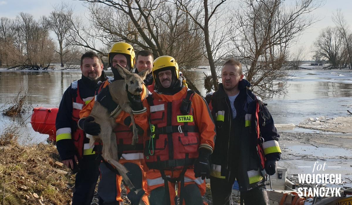 Zwierzęta pod lodem. Interweniowali strażacy