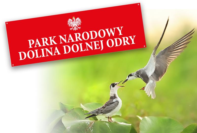 Międzyodrze parkiem narodowym
