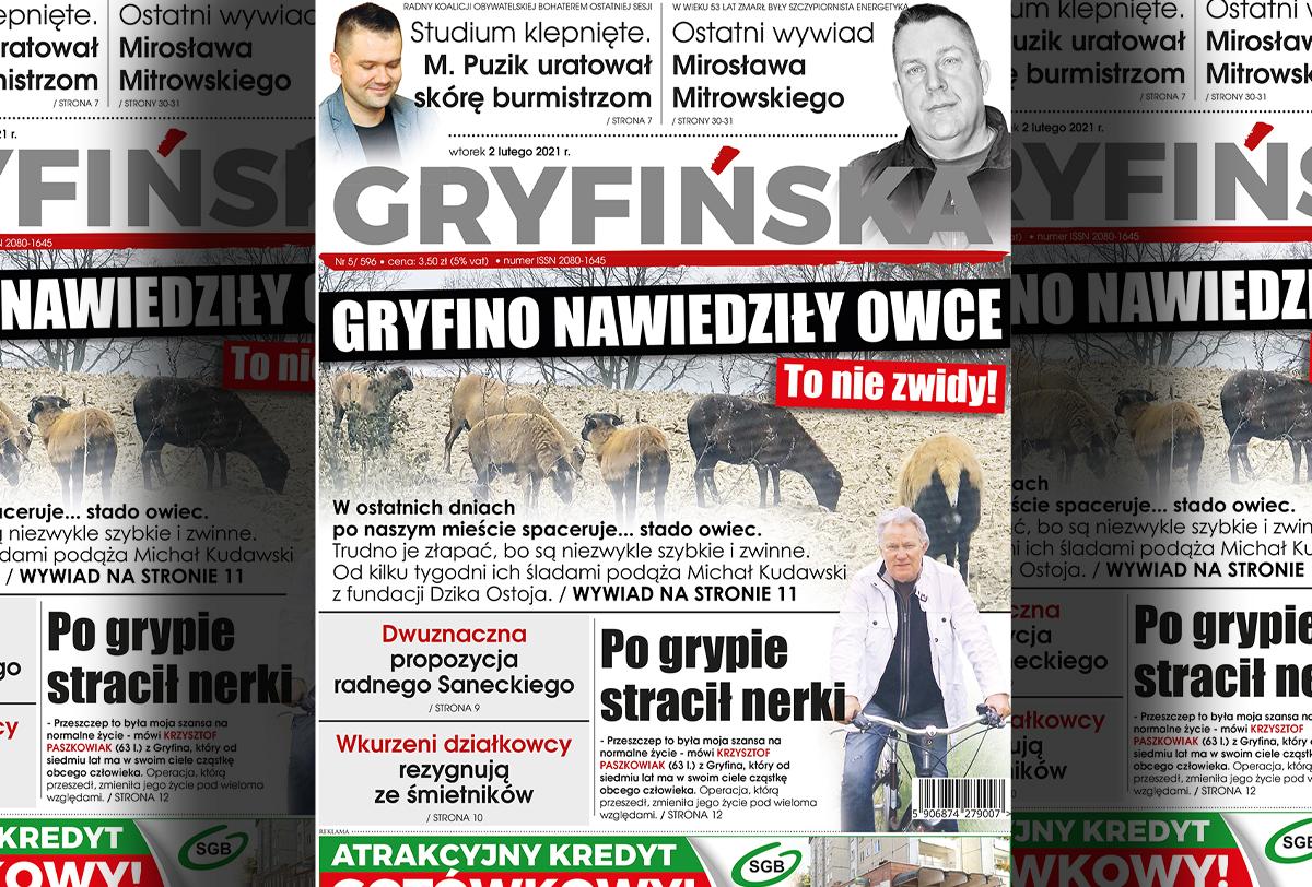 Nowe wydanie Gazety Gryfińskiej: kameruńskie owce nawiedziły Gryfino!