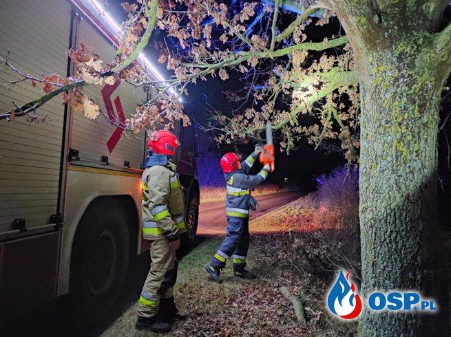 Obcięli zwisającą gałęź, która uszkodziła samochód
