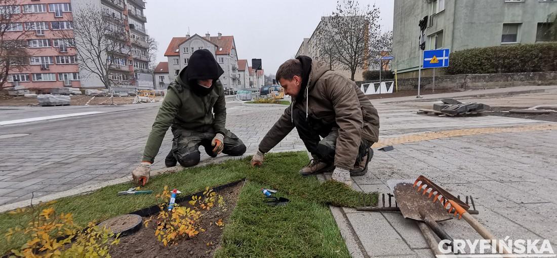Stawiają wiaty i rozwijają trawę