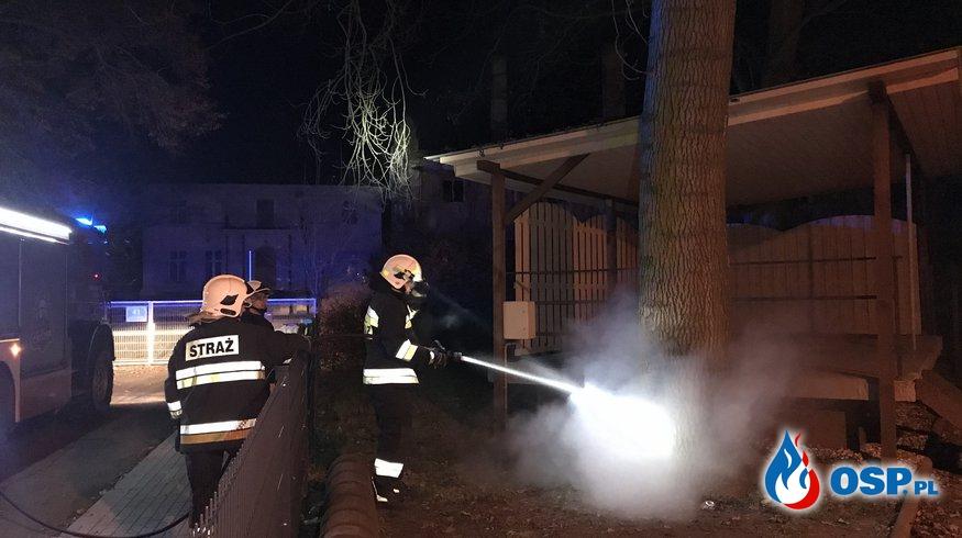Drzewo paliło się od środka