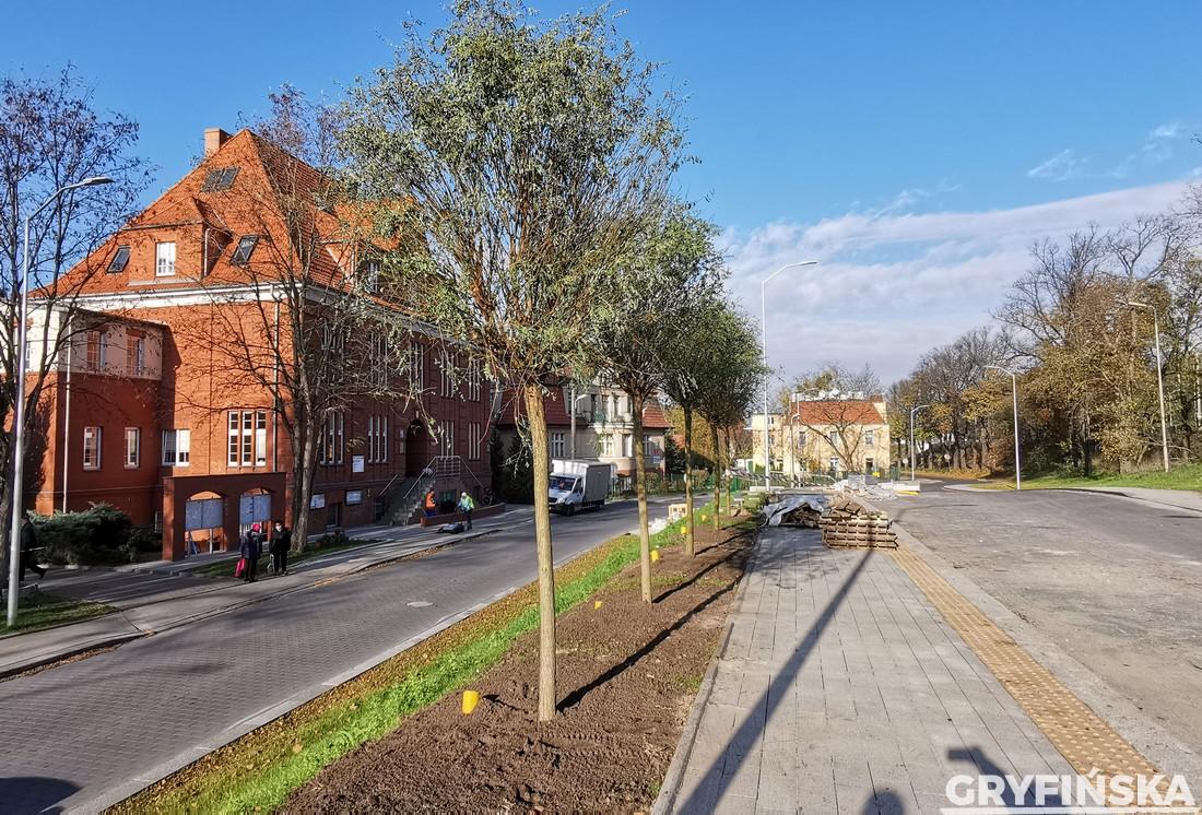 Rozpoczęli nasadzenia przy dworcu