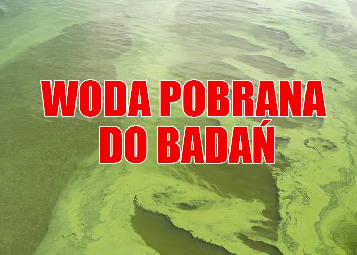 Uwaga morsy! Chwilowo omijamy Wełtyń