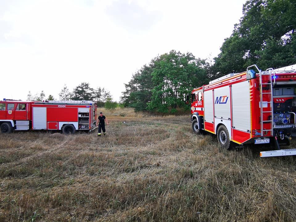 Tym razem paliła się leśna ściółka