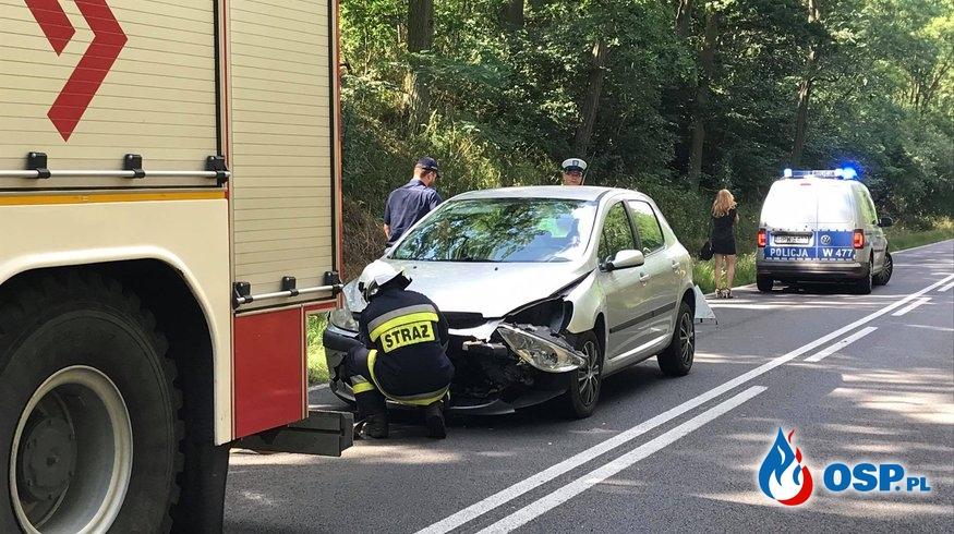 Samochód zderzył się z sarną. Pomogli strażacy