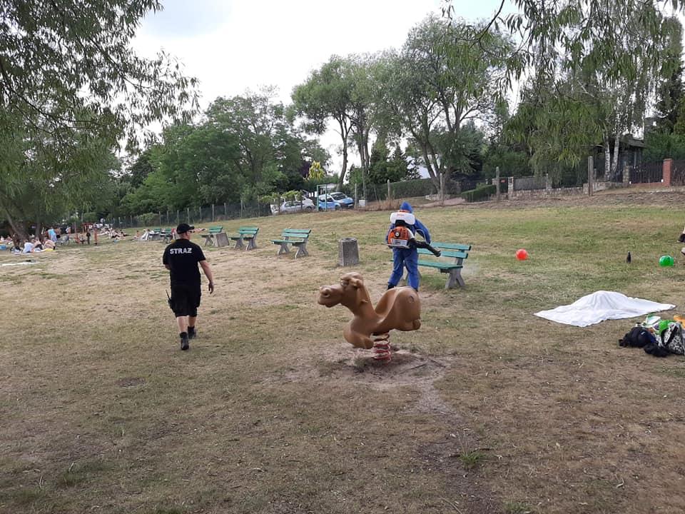 Plaża w Steklnie odkażona przez strażaków [GALERIA]