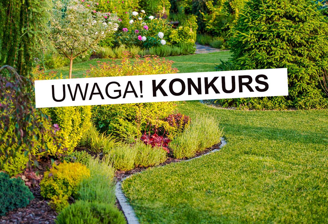 Konkurs na najpiękniejszy ogród, balkon lub taras. Pula nagród wynosi 3200 zł!
