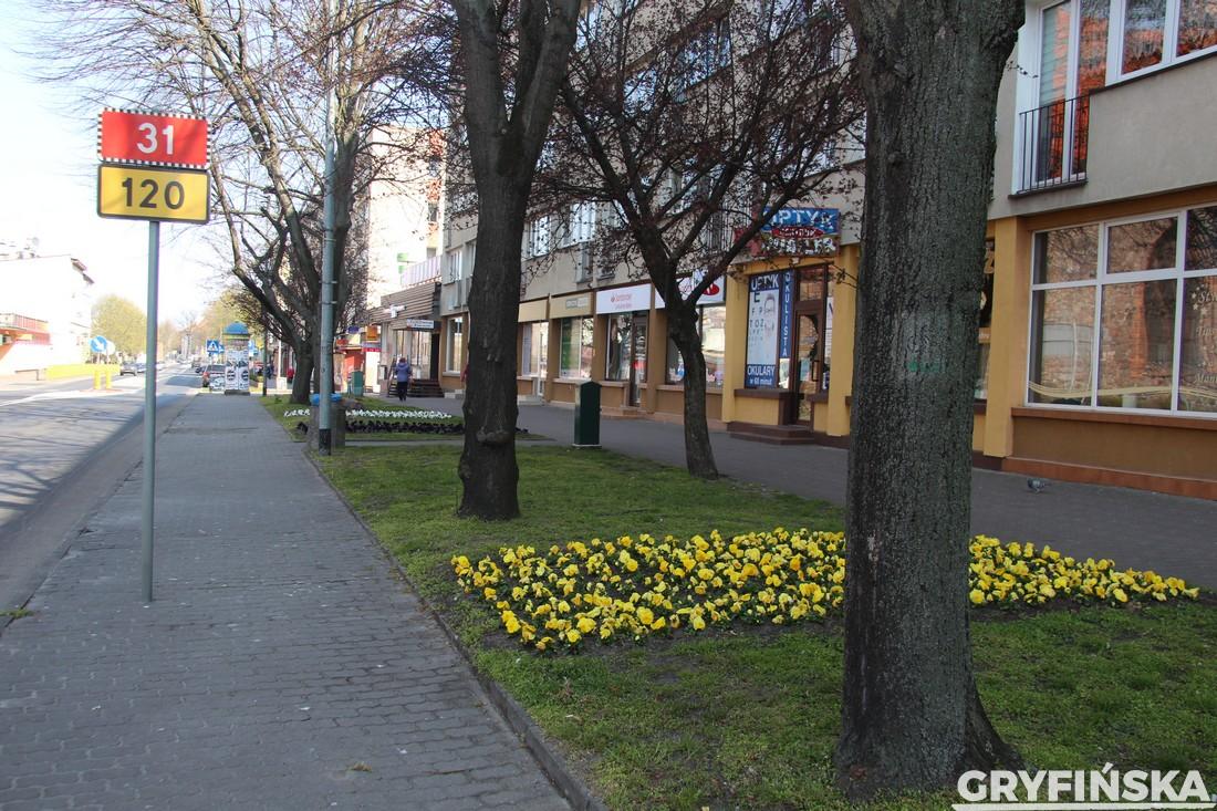 Świątecznie w centrum