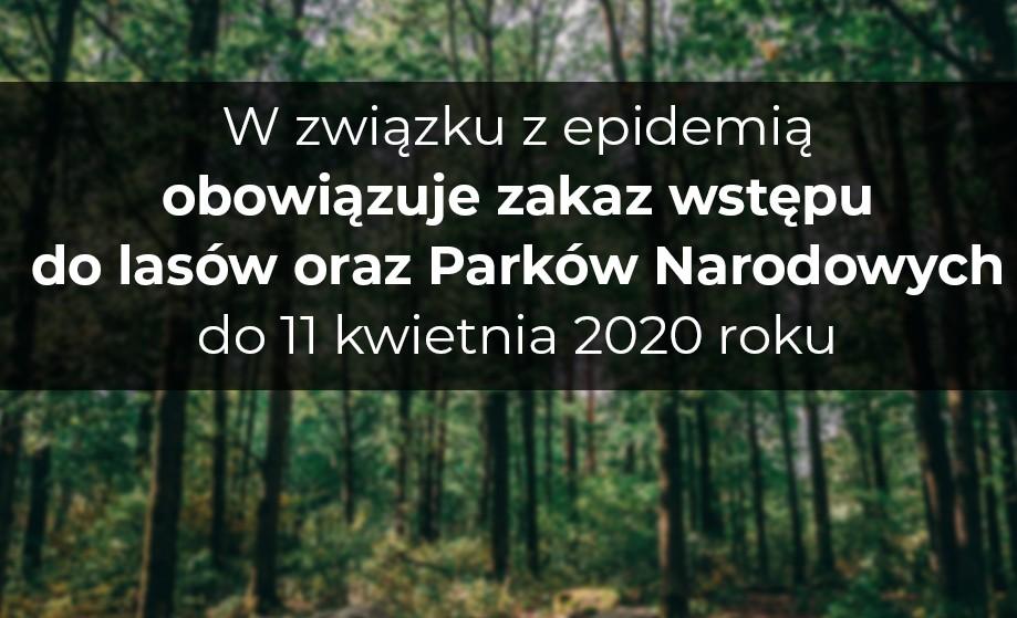 Tymczasowy zakaz wstępu do lasów i Parków Narodowych