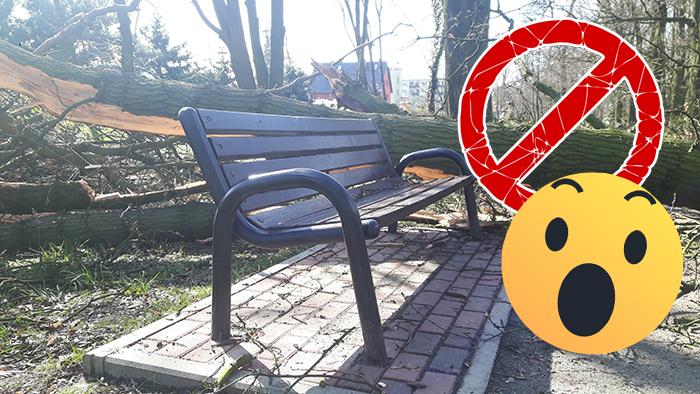 Trzaski w cieniu Corony! Niebezpiecznie w parku