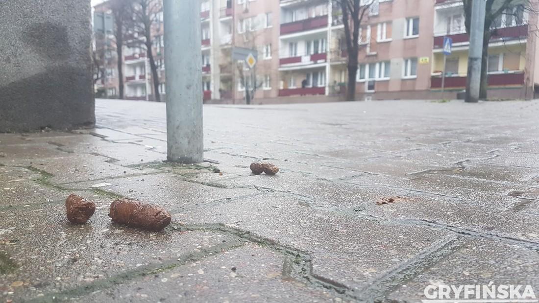 Brązowe chodniki. Sprzątajcie po swoich psach!