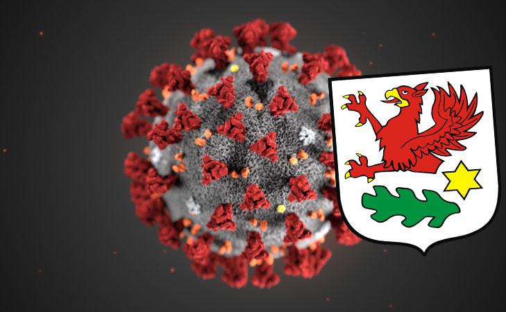 Burmistrz tonuje koronawirusową panikę