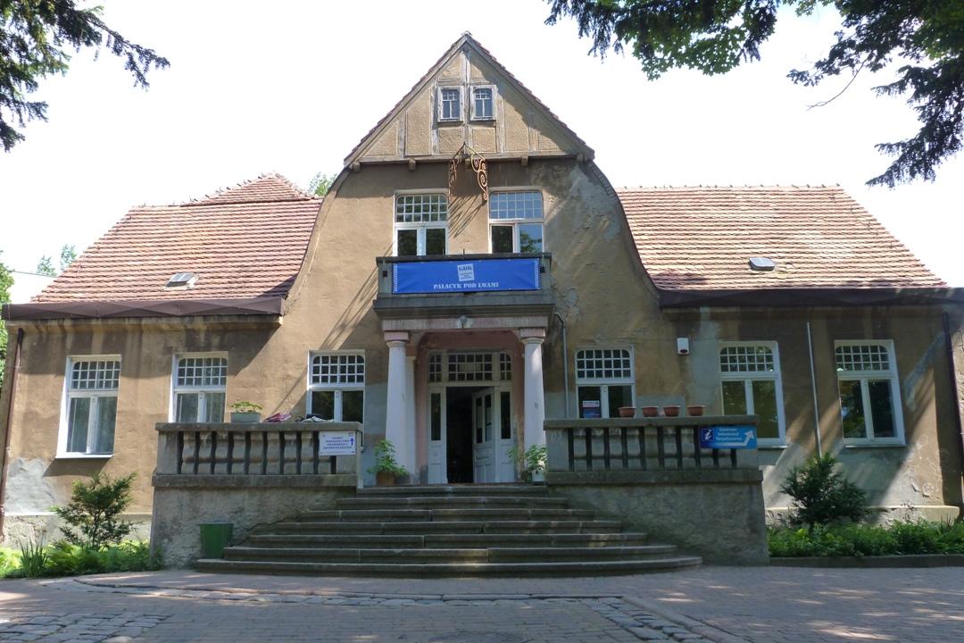 Zimowe kolonie w Myśliborzu