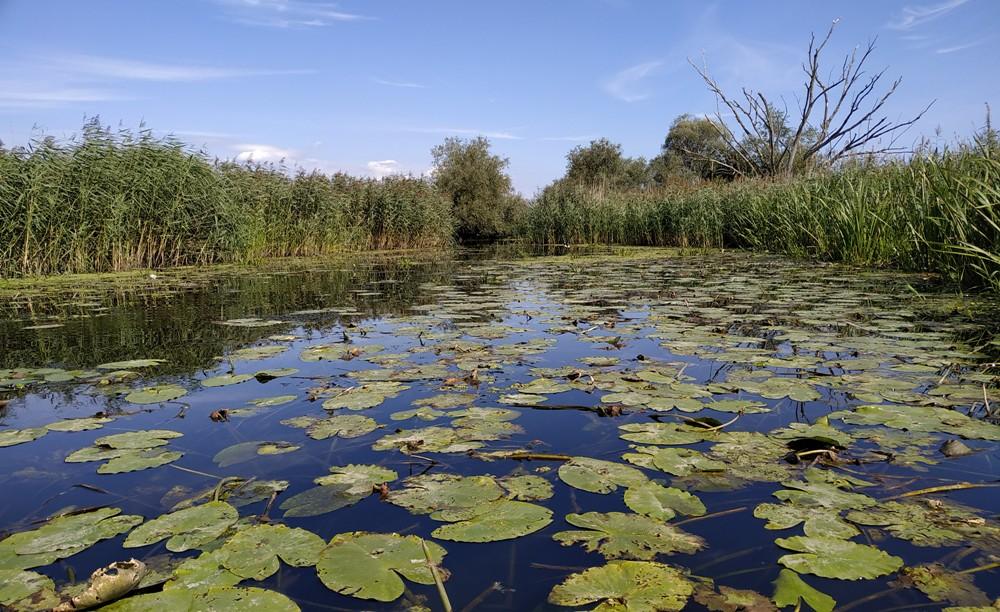Wycieczka kajakowa po Międzyodrzu - ruszają zapisy!