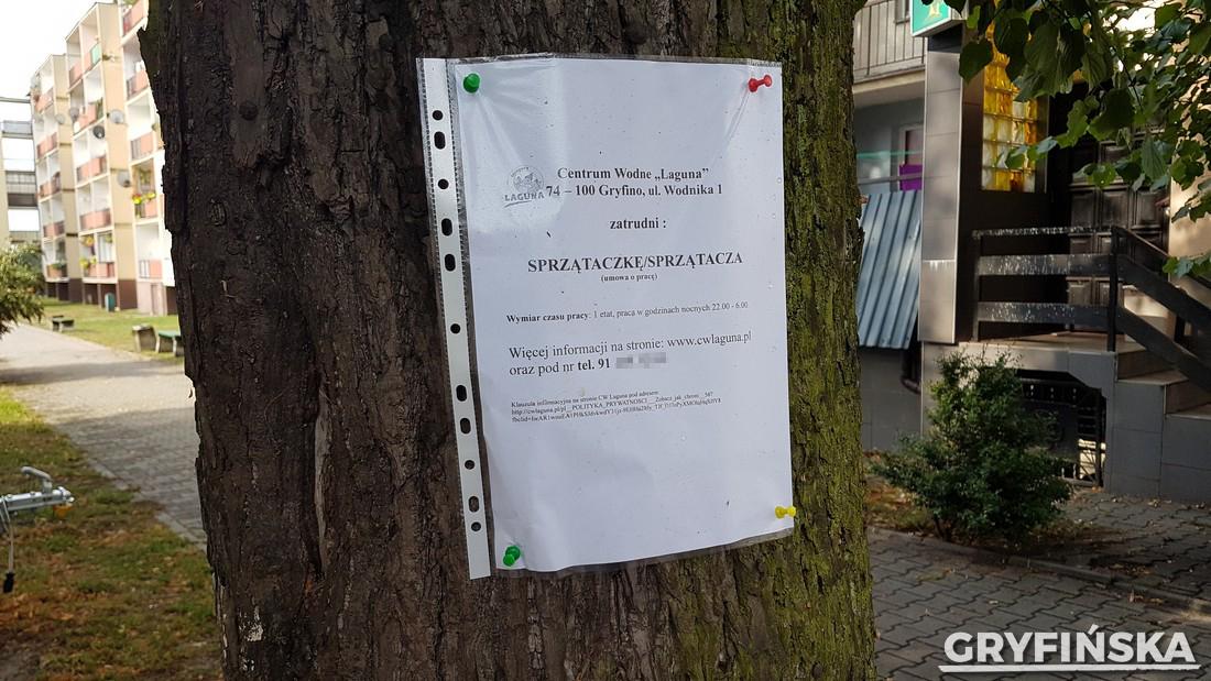 Laguna szuka sprzątaczek na drzewie