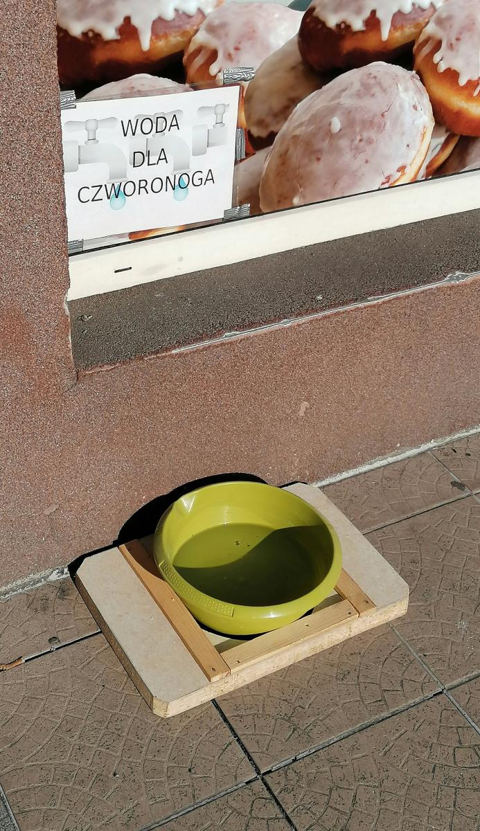 Po słodkim pączku - łyk świeżej wody