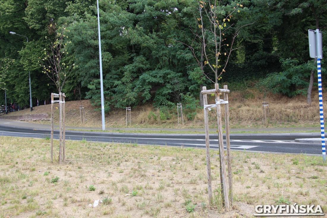 Zarząd Dróg zaniedbał?