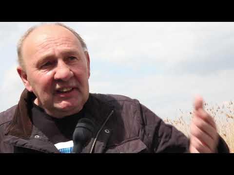 Migawki (tym razem) z Międzyodrza [VIDEO]