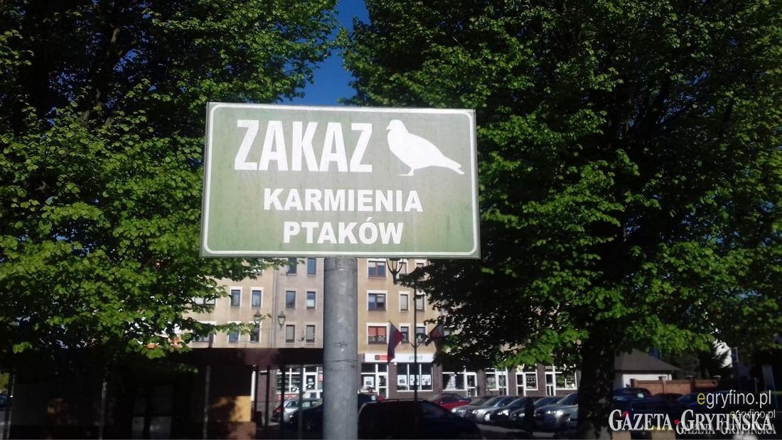 Walka z gołębiami czy z wiatrakami?