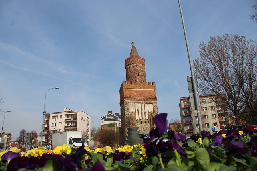 Magistrat zachęca do sprzątania