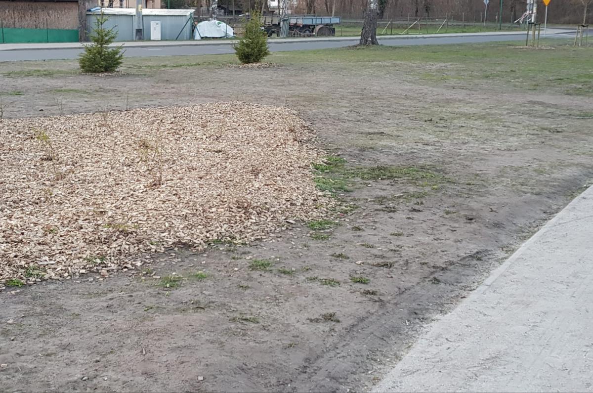 Kto zniszczył nowy park w Dębnie?