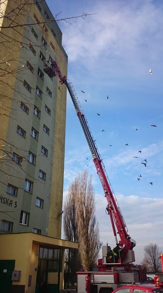 Ewakuowali i gasili. Ćwiczenia w gryfińskim wieżowcu