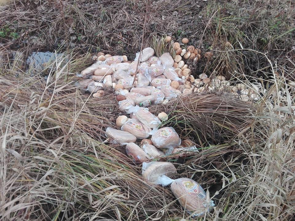 Duża ilość pieczywa wyrzucona do rowu. Kto to zrobił?