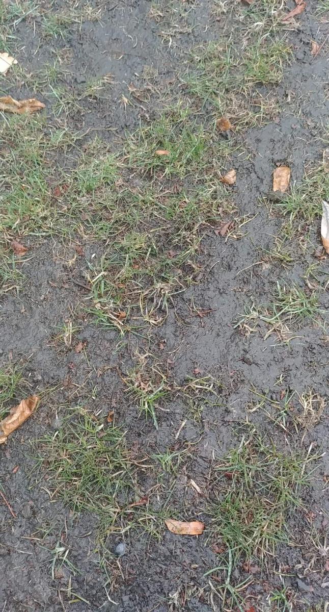 Mecz Iskry Banie odwołany. Błękit Pniewo też nie zagra