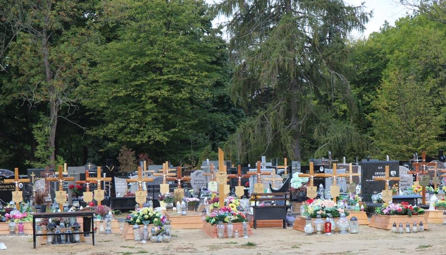 Organizacja ruchu na Wszystkich Świętych - jakie zmiany?