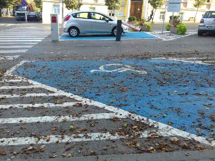 Najlepsze kasztany są... na parkingu przed urzędem miasta