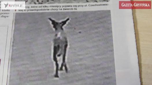 Wtorki z Gryfińską. Odcinek 22 [VIDEO]