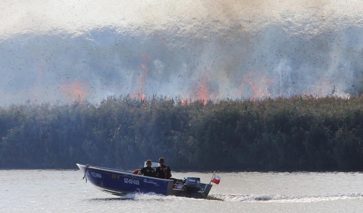 Pożar na Międzyodrzu [GALERIA]