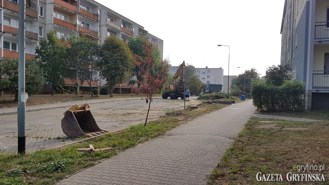 Wreszcie wycięli stare wierzby