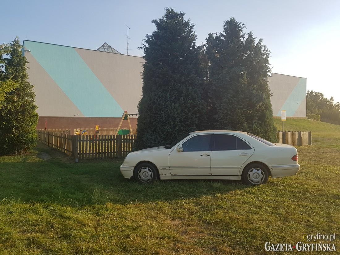 Mistrz parkowania w cieniu