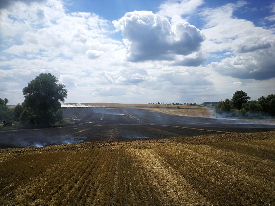 Interweniowali przy pożarze ścierniska