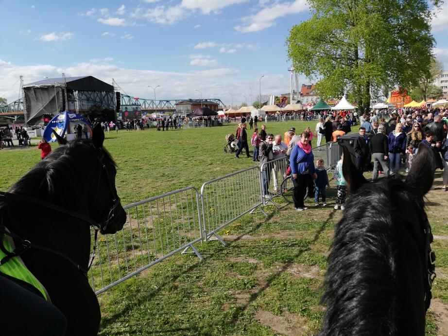 Dni Gryfina 2018: Nad bezpieczeństwem czuwały konie Karmel i Cynober