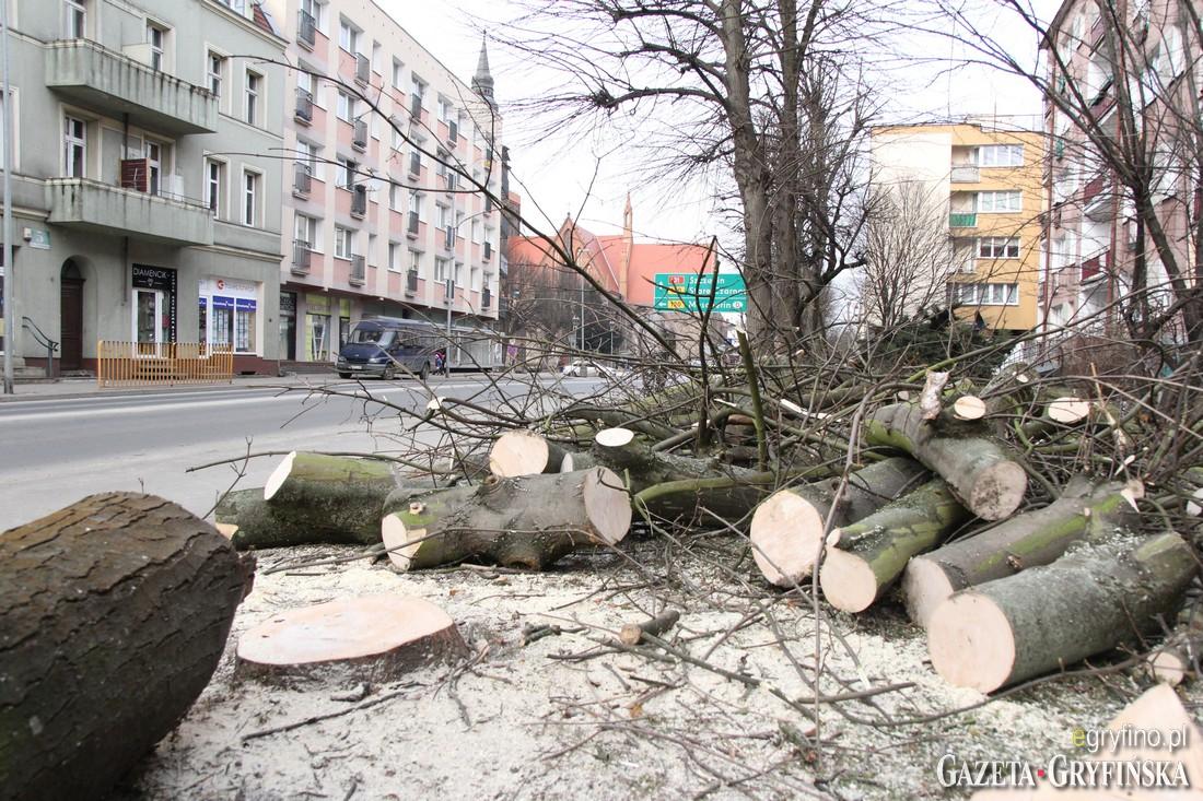 Wycięli drzewo przy ul. Bolesława Chrobrego. Mieszkańcy oburzeni [GALERIA]