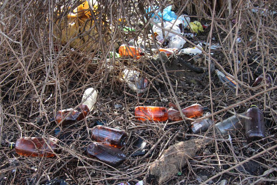 Dzikie wysypisko, gdzie królują butelki po alkoholu