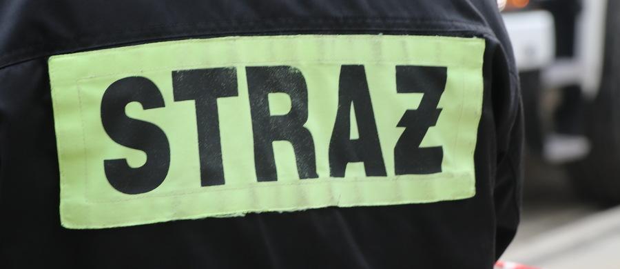 Jeden myśliwy nie żyje. Wciąż trwają poszukiwania jego kolegi