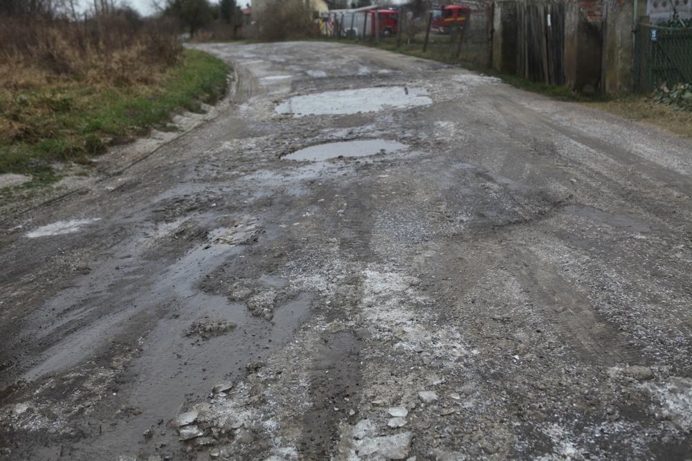 Błotne przeprawy z widokiem jak z obrazka
