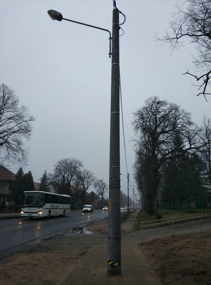 Z cyklu: jak to się tu znalazło?